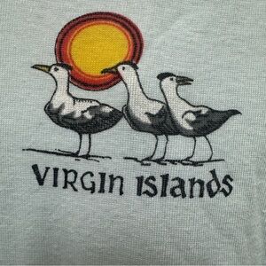 Vintage 1970’s Women’s Blue Virgin Islands Souvenir T-Shirt